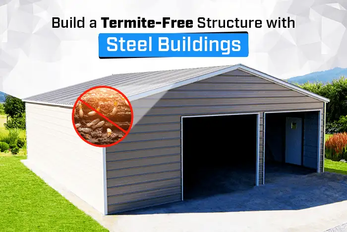 Build a Termite-Free Structure with Steel Buildings