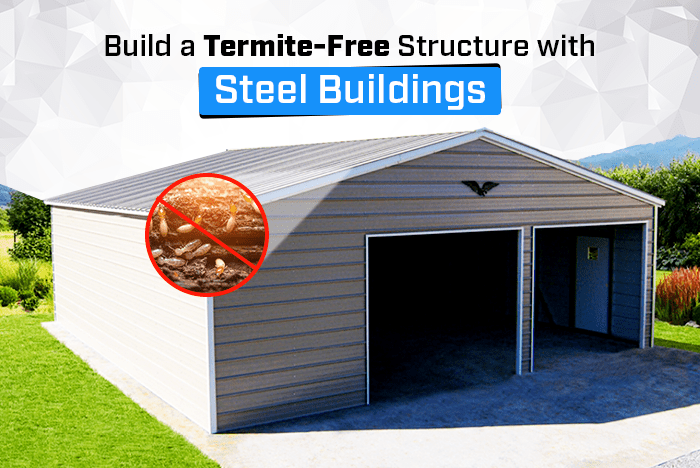 Build a Termite-Free Structure with Steel Buildings Build a Termite-Free Structure with Steel Buildings